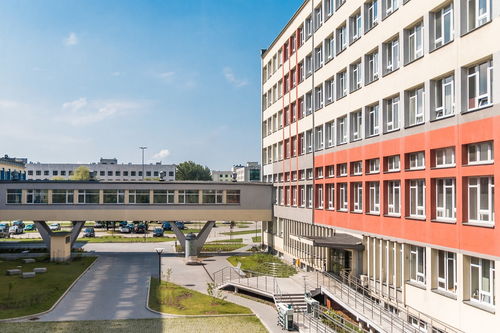 -中国青少年篮球课程体系现代化建设，《中国青少年篮球训练教学大纲(2013版)》