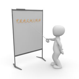九游网页版入口-体育教学信息化资源整合与应用研究，体育课信息化教学方案