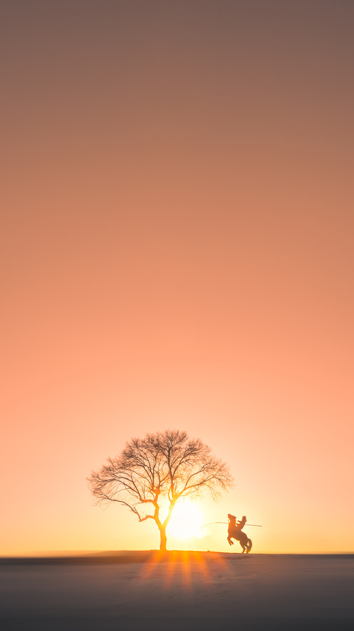 九游下载官网-“六人制袋棍球:东部新区赛场突破传统,成为国际焦点”