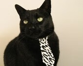 九游网游官网-中国男篮狠抓基本功 夯实进攻体系基础，中国男篮训练强度