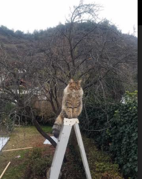 九游网游官网-中国男篮狠抓基本功 夯实进攻体系基础,中国男篮训练强度