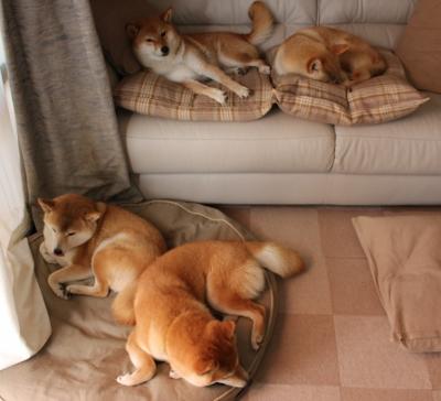 JIU YOU GAME-比赛转播权纷争升级体育媒体纷纷参与报道,赛事转播权的概念