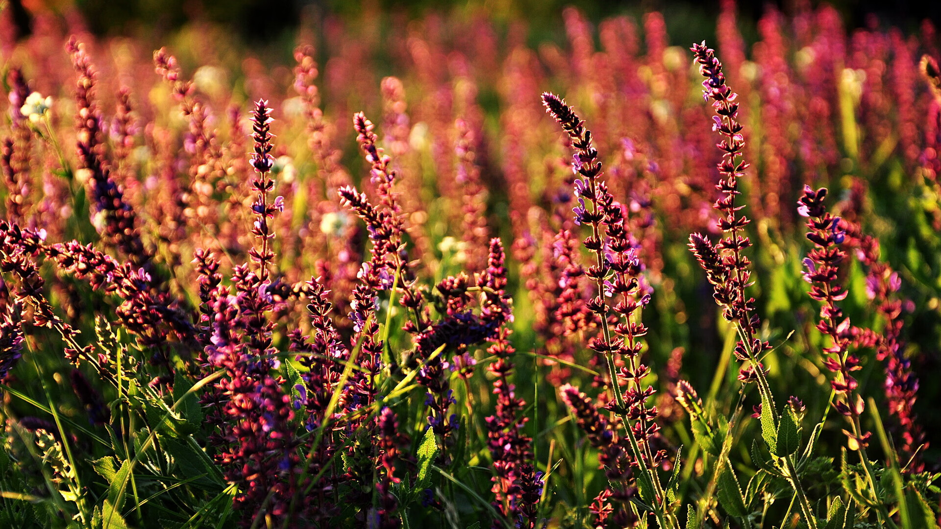 -观众现场体验加入沉浸式AI讲解服务,沉浸式体验演出