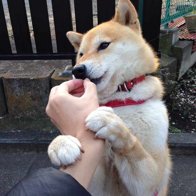 九游娱乐中心-配速调整对蝶泳成绩的影响,配速调整对蝶泳成绩的影响有哪些