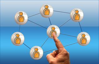 九游登录中心-高校电竞联赛冠军诞生 战术与团队缺一不可，高校电竞联盟挑战赛全国总决赛