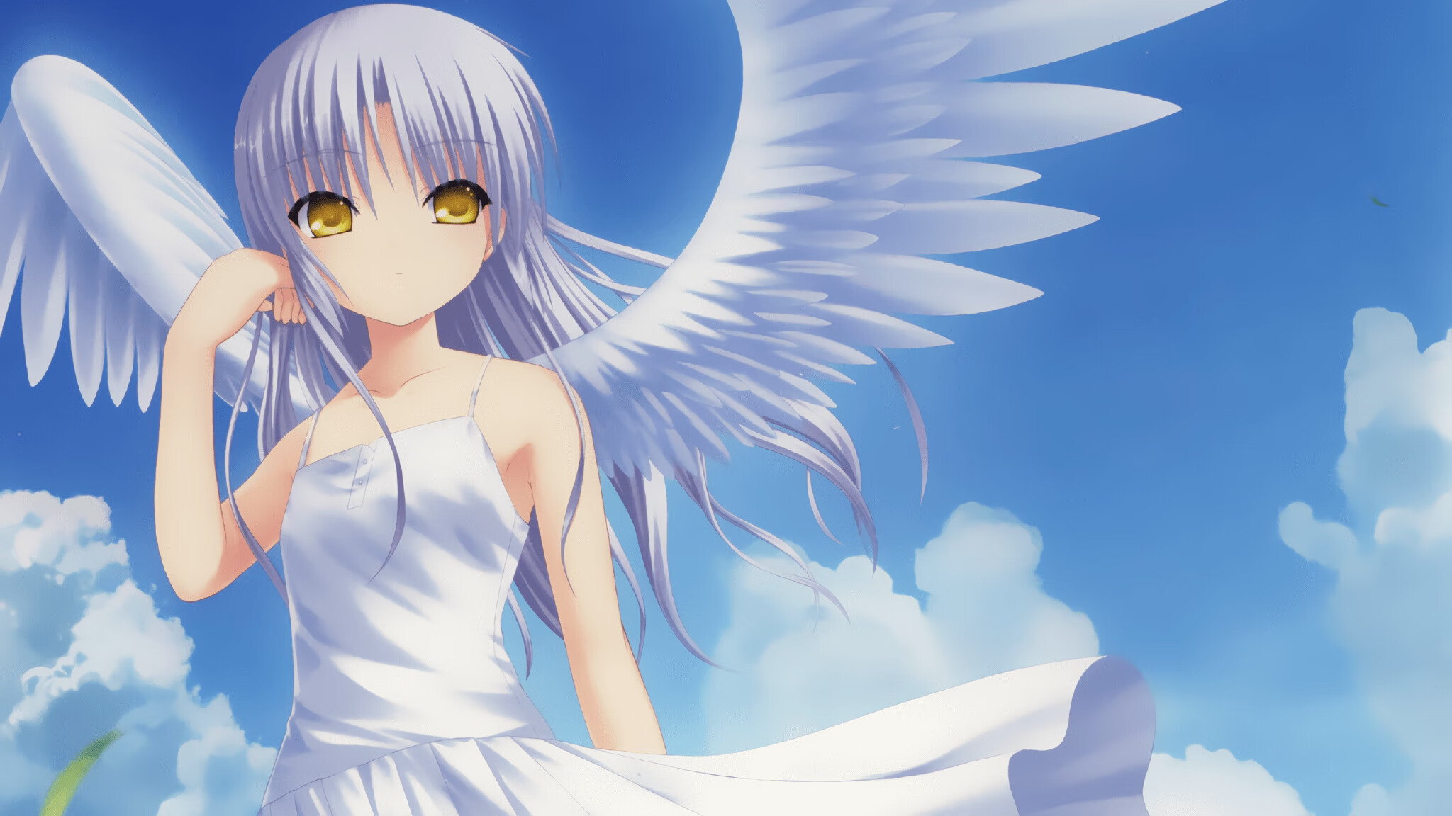 九游用户空间-中国女排新主攻连得十分引热议，中国女排新阵容