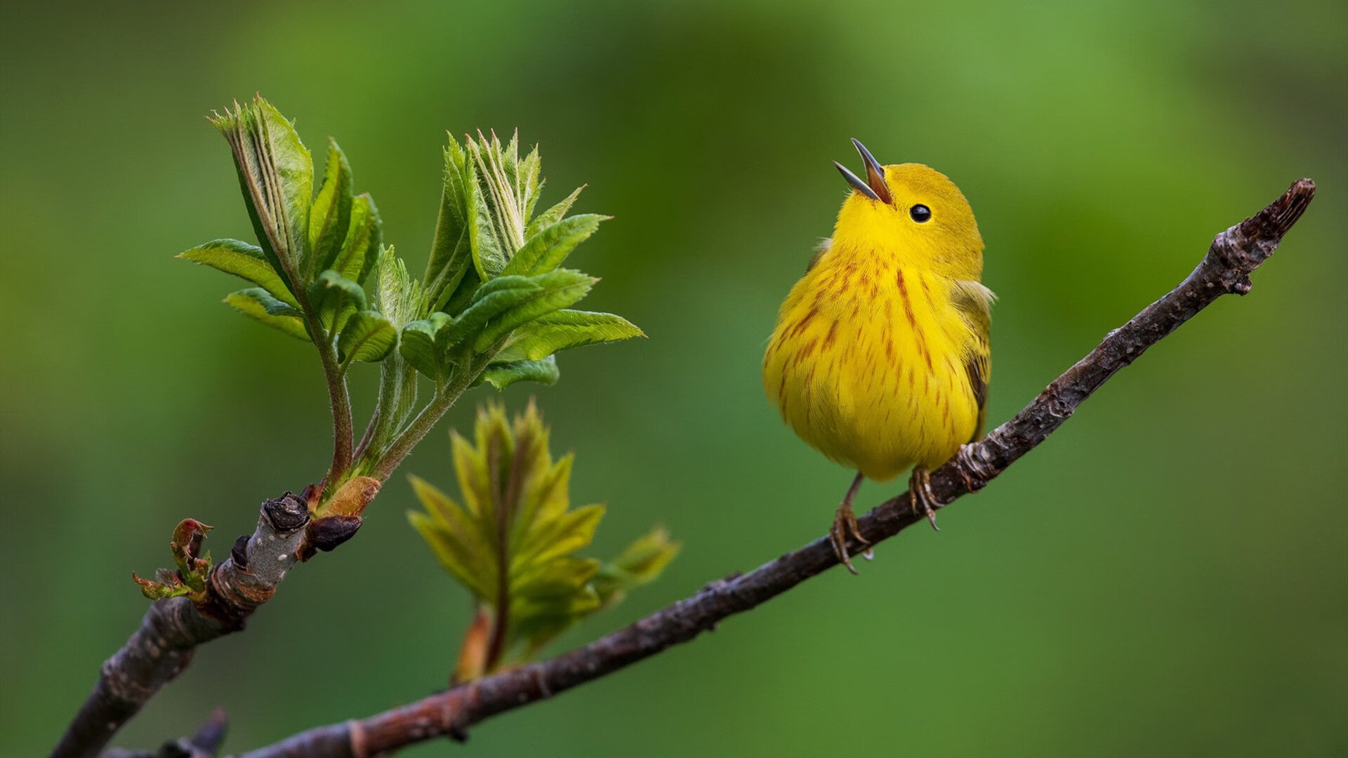 -体育品牌跨界合作拓展年轻用户市场，国内体育品牌应该如何展开宣传