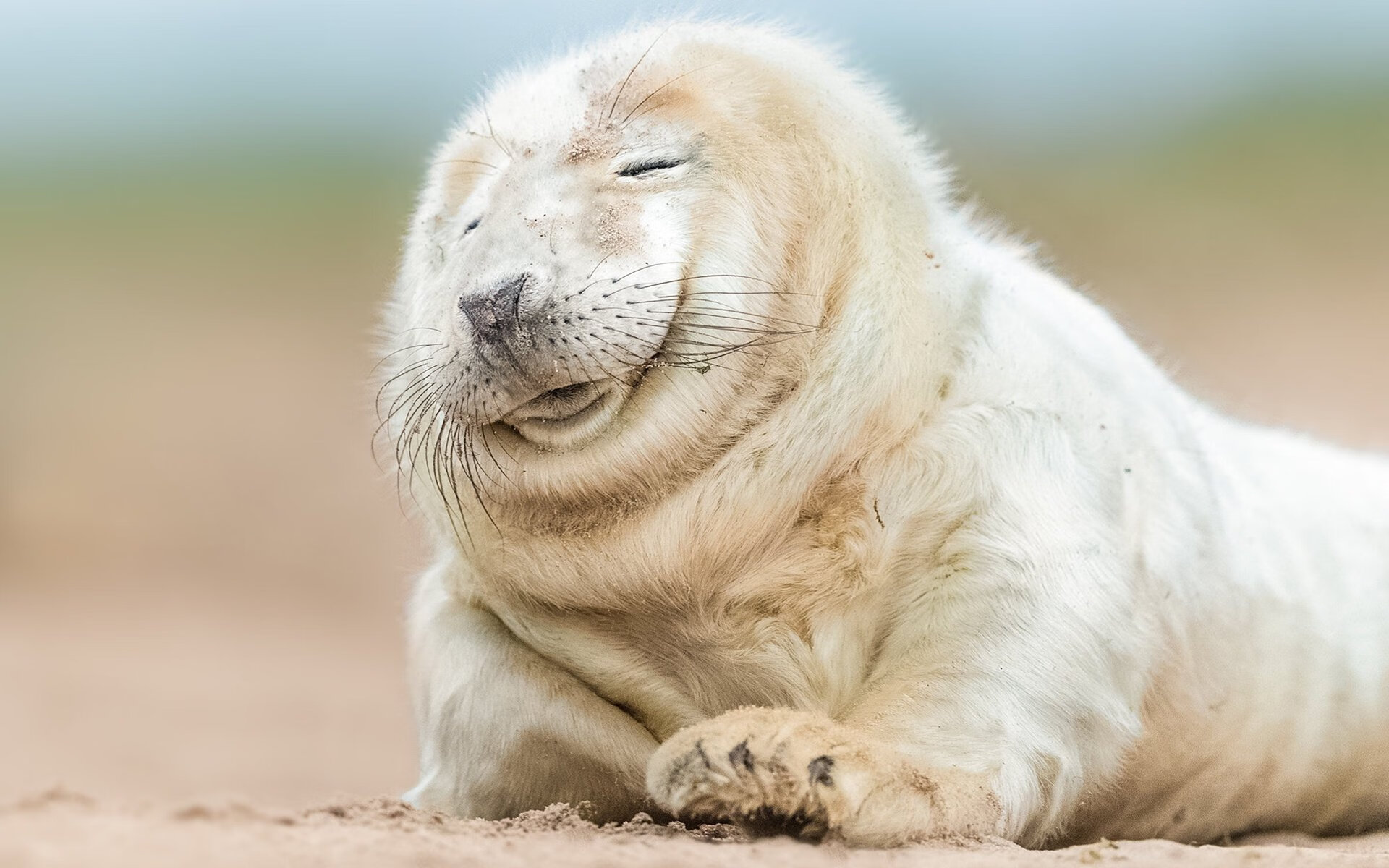 九游电脑版-国际足球的未来:AI裁判助力比赛公正,技术革新引关注,国际知名足球裁判