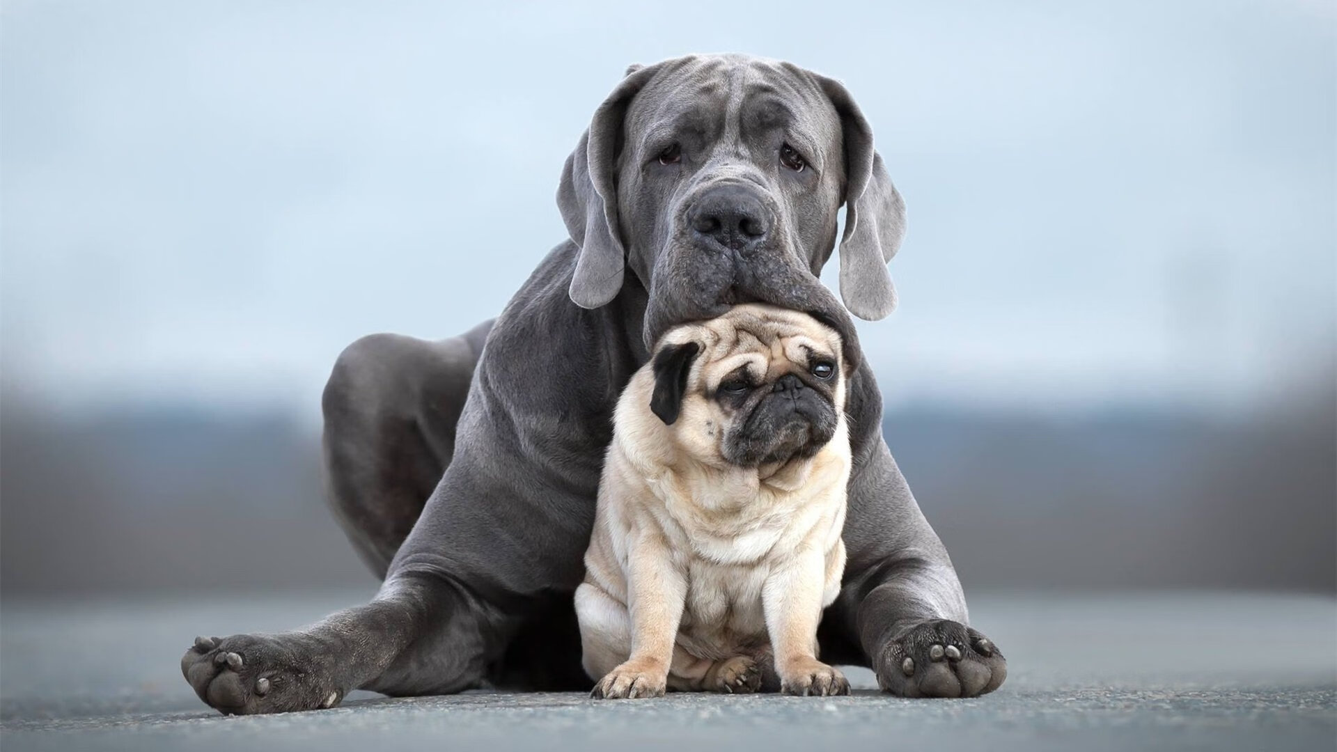 九游娱乐APP-意甲快攻突袭：瞬间突破，场面惊艳！，意甲高能7秒