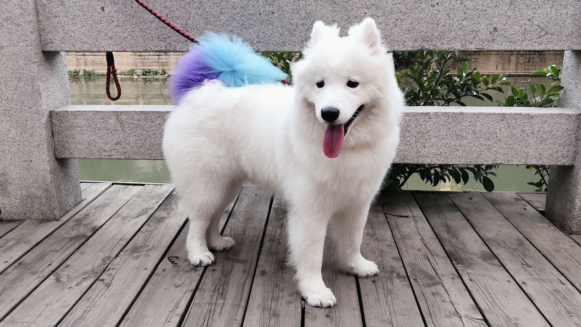 -掘金主教练强调重视防守执行提升比赛强度,掘金球员介绍