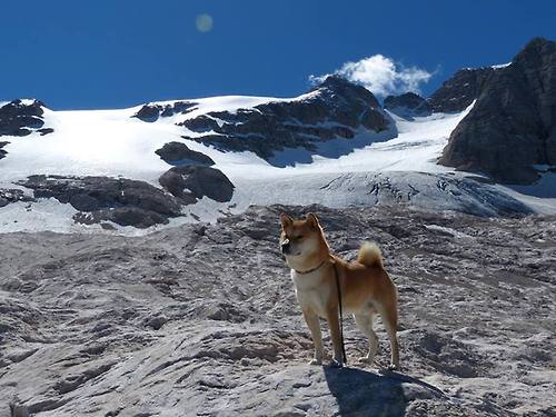 九游游戏中心官网-比利时男篮在欧洲预赛中坚持不懈，冲击奥运舞台，比利时男篮3v3