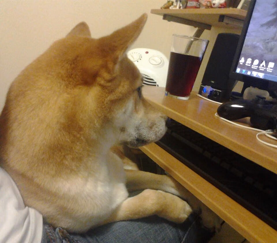 Jiu You-英超争冠最后一轮:悬念激烈,精彩纷呈!,英超最后一轮保级形势