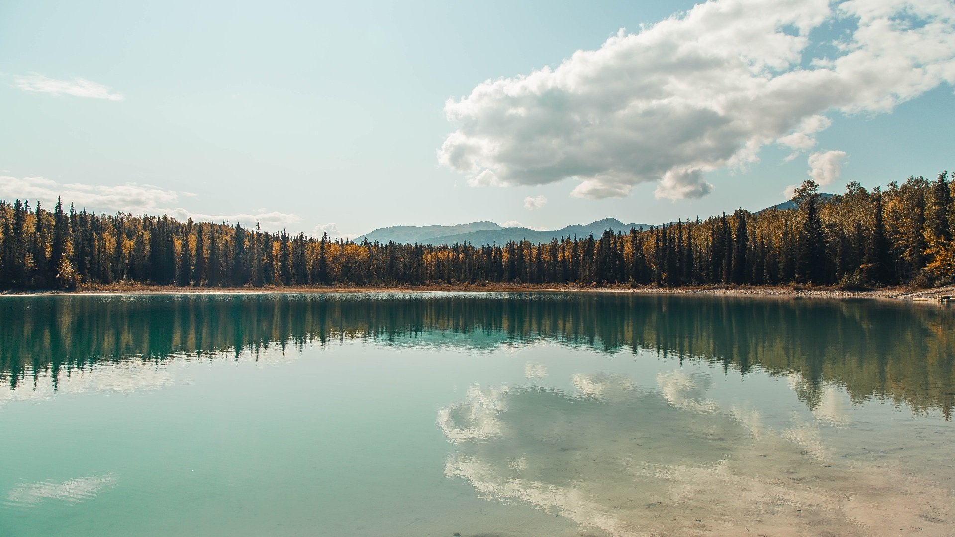 九游娱乐APP-西甲绝佳盘带：巧妙过人引爆全场！，体育盘口西甲