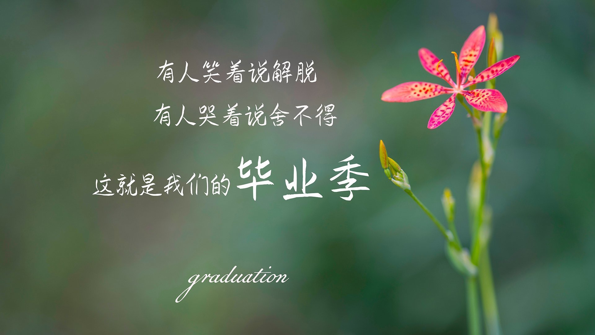 九游娱乐(jiuyou)官网-贾瓦迪表现稳健 带动突尼斯泳坛热度，ht贾瓦人